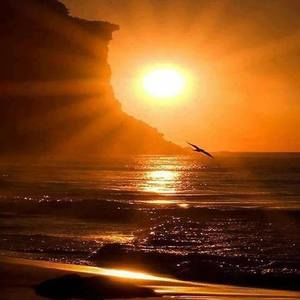 Meet your Posher, Rae